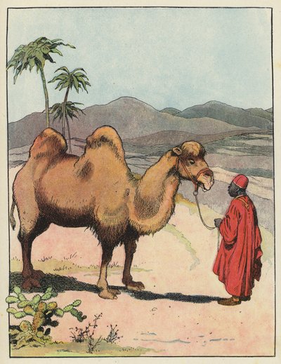 Bactrian Camel by Benjamin Rabier